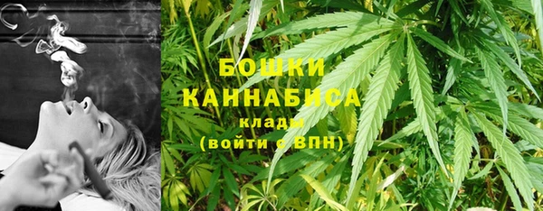молекула духа Няндома