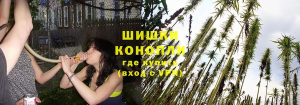 метадон Осташков