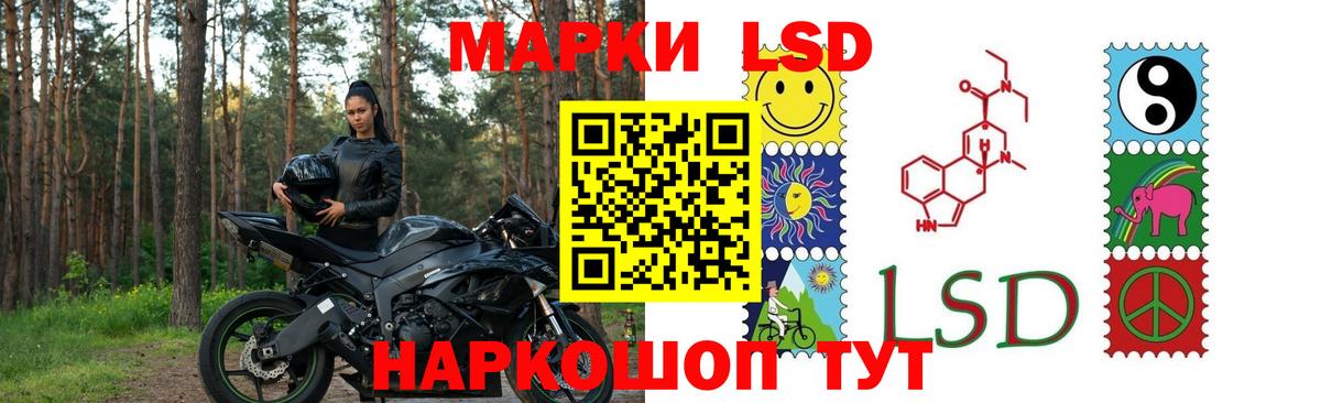 Курчалой  Лсд 25 экстази кислота  Вход с VPN  Лсд 25 экстази кислота 