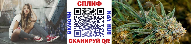кракен зеркало  Курчалой  Бошки Шишки White Widow 