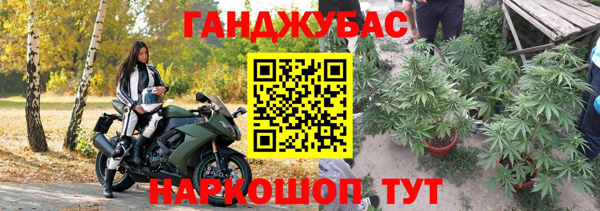 Бошки Шишки гибрид  МАРИХУАНА индика  Вход с VPN  Курчалой  МАРИХУАНА THC 21%  Каннабис Amnesia 